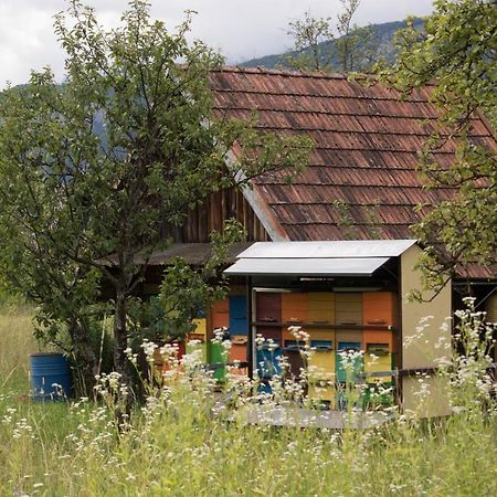 Apartma Petra Ravnik - Wanderer'S Hut Apartment Bohinj Exterior photo